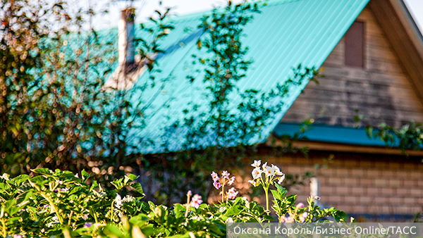     Фото: Оксана Король/Бизнес Online/ТАСС   
 Текст: Алексей Дегтярёв