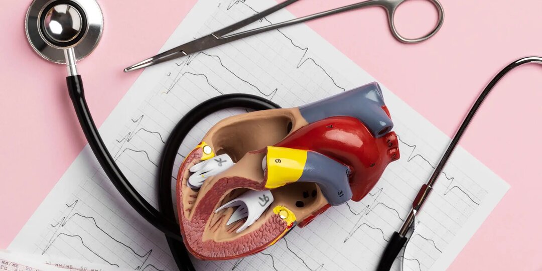 Кардиореабилитация после операции на сердце: когда можно возвращаться к обычной жизни?
