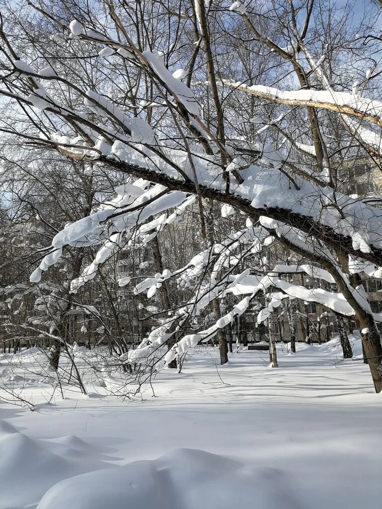 Мой любимый двор, только с другой стороны.
