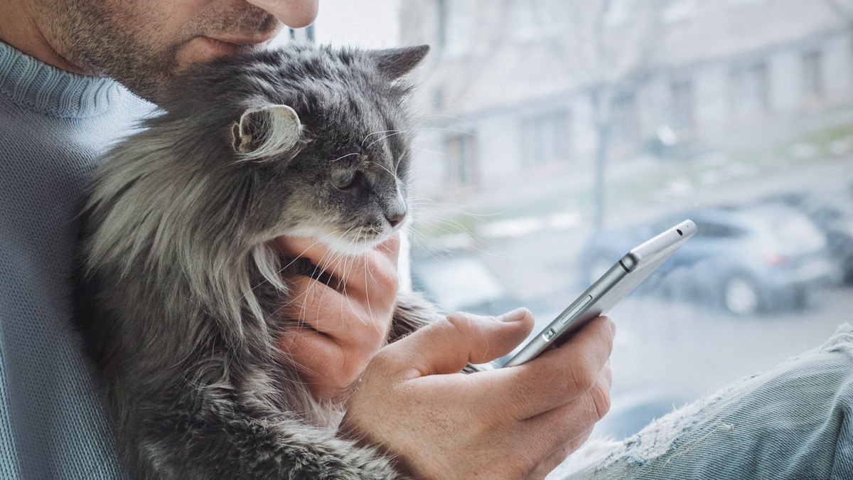    Цифровая платформа помогает москвичам заботиться о домашних животных на профессиональном уровне