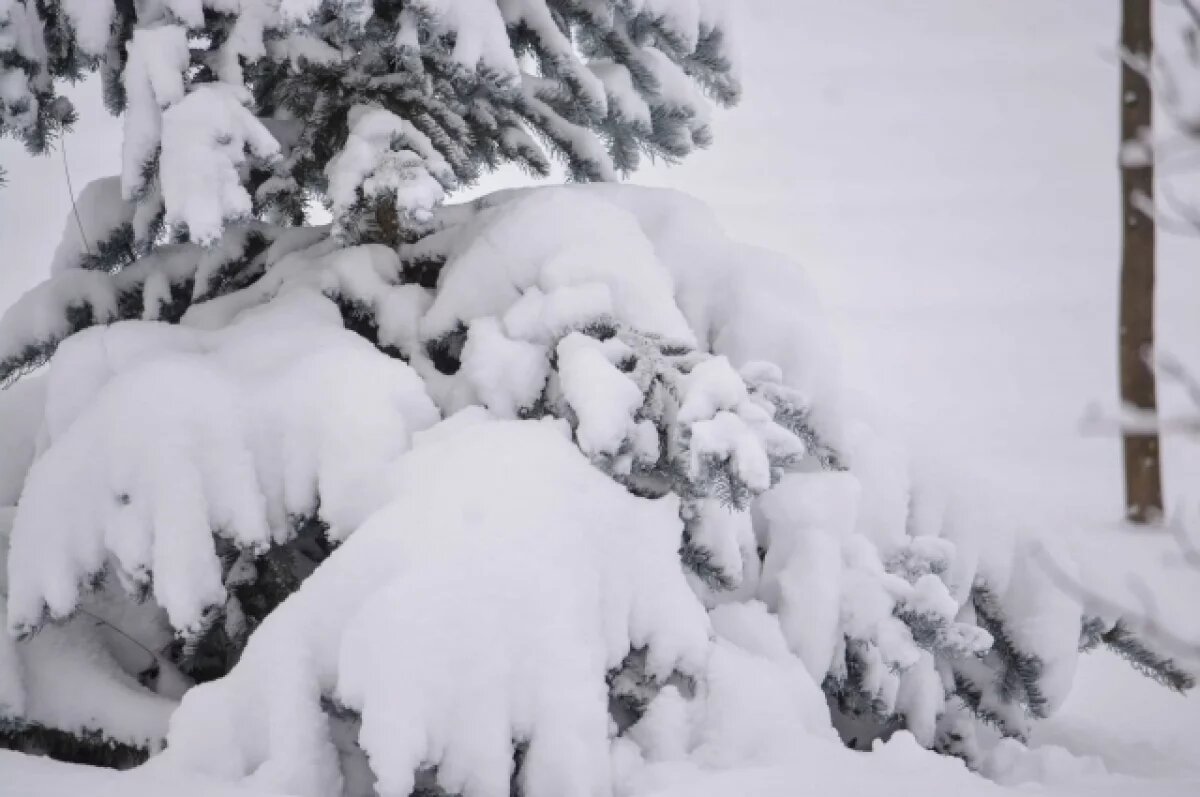    В Ижевске под тяжестью снега обрушилась крыша автобусной остановки