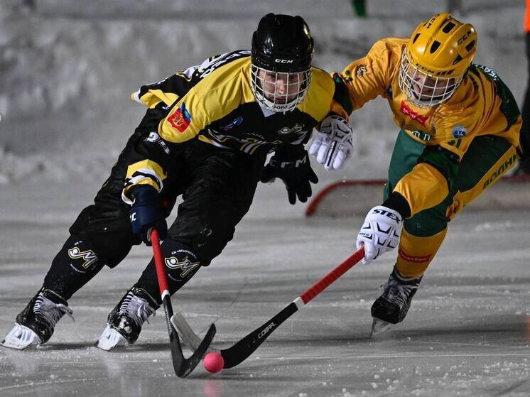     фото: телеграм-канал ХК «Мурман».