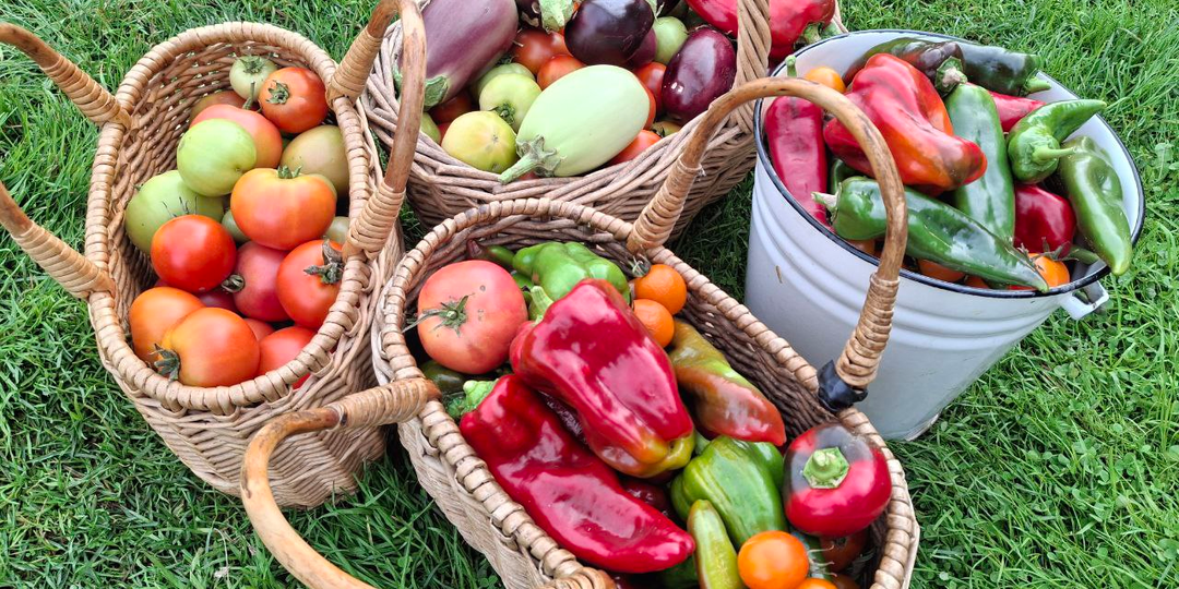 Рекомендуете для сада сплошную химию! Вы что за блогер такой?