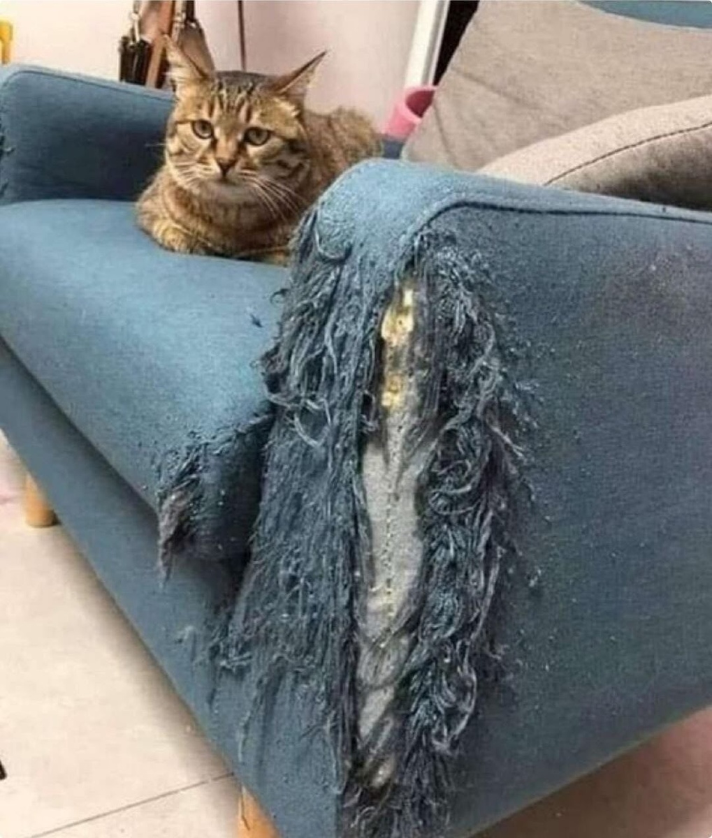 иллюстрация из яндекс картинки.