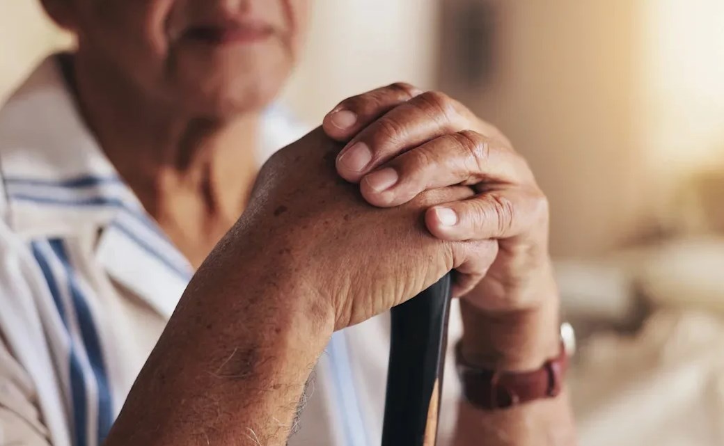 фото из открытых источников.