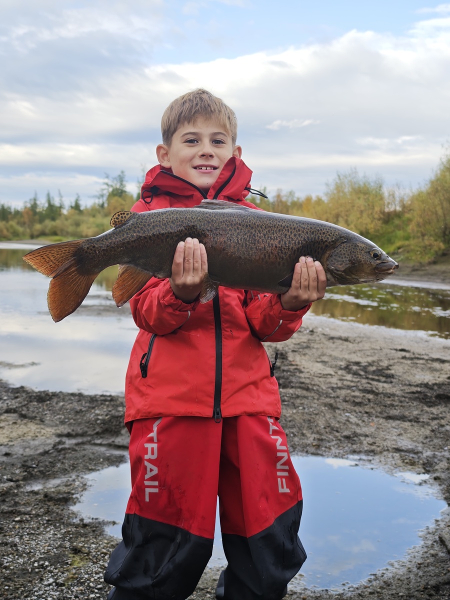 Сибирский ленок