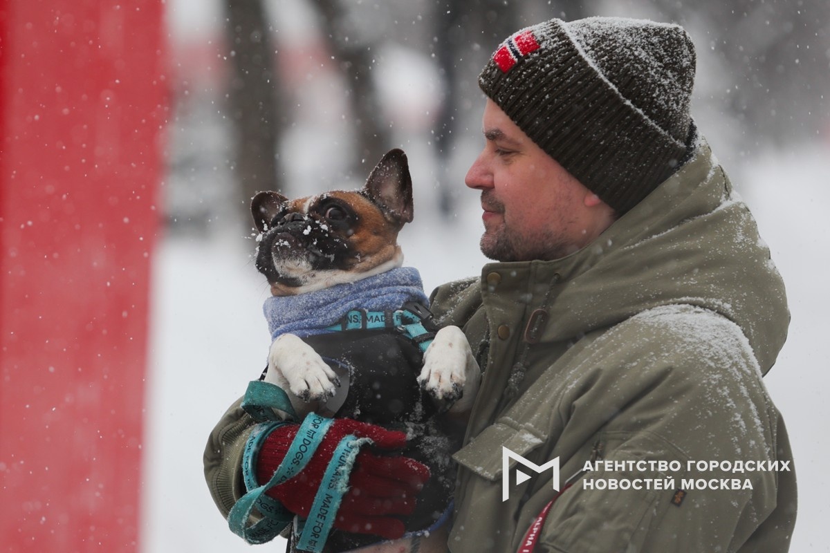 Фотограф: Дмитрий Белицкий