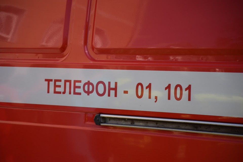    Фото: Елена Зябкина