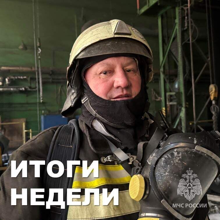    Фото: МЧС России по Курской области