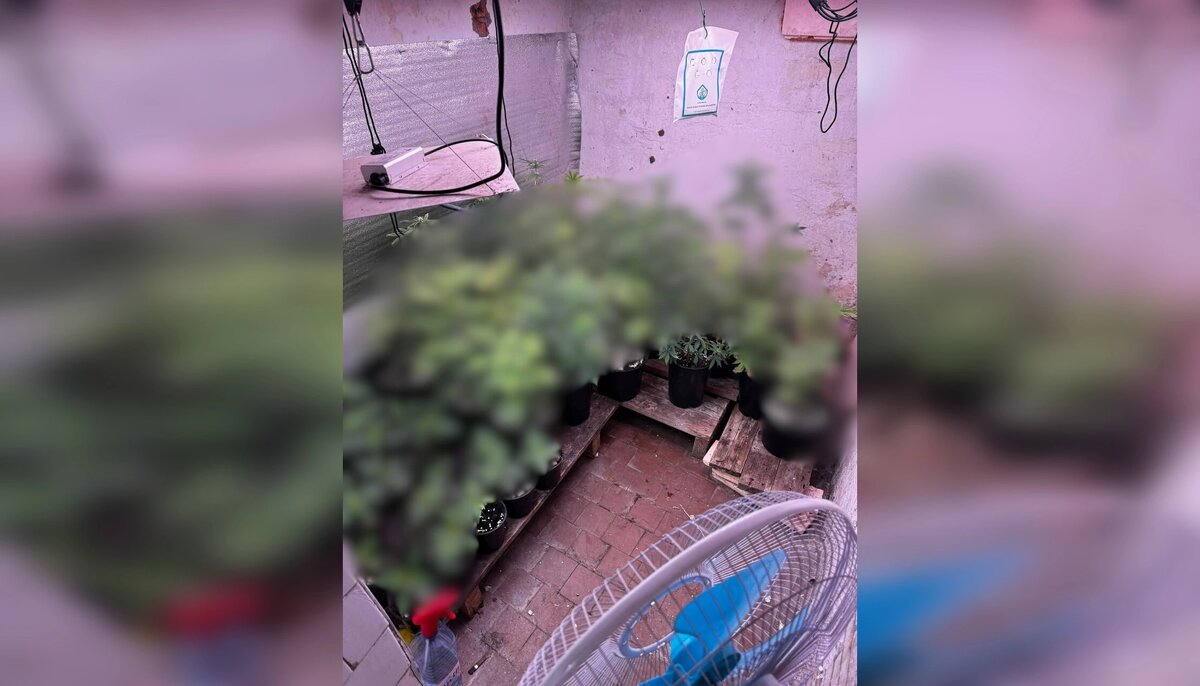    Фото: МВД по Ростовской области