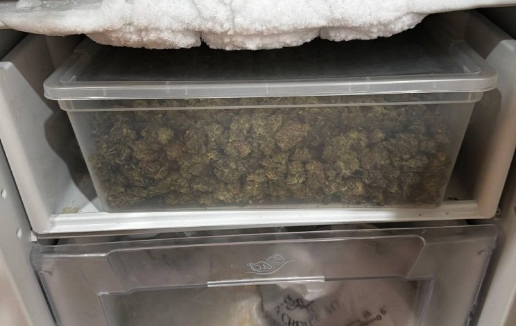    Фото пресс-службы ГУ МВД России по РО Редактор