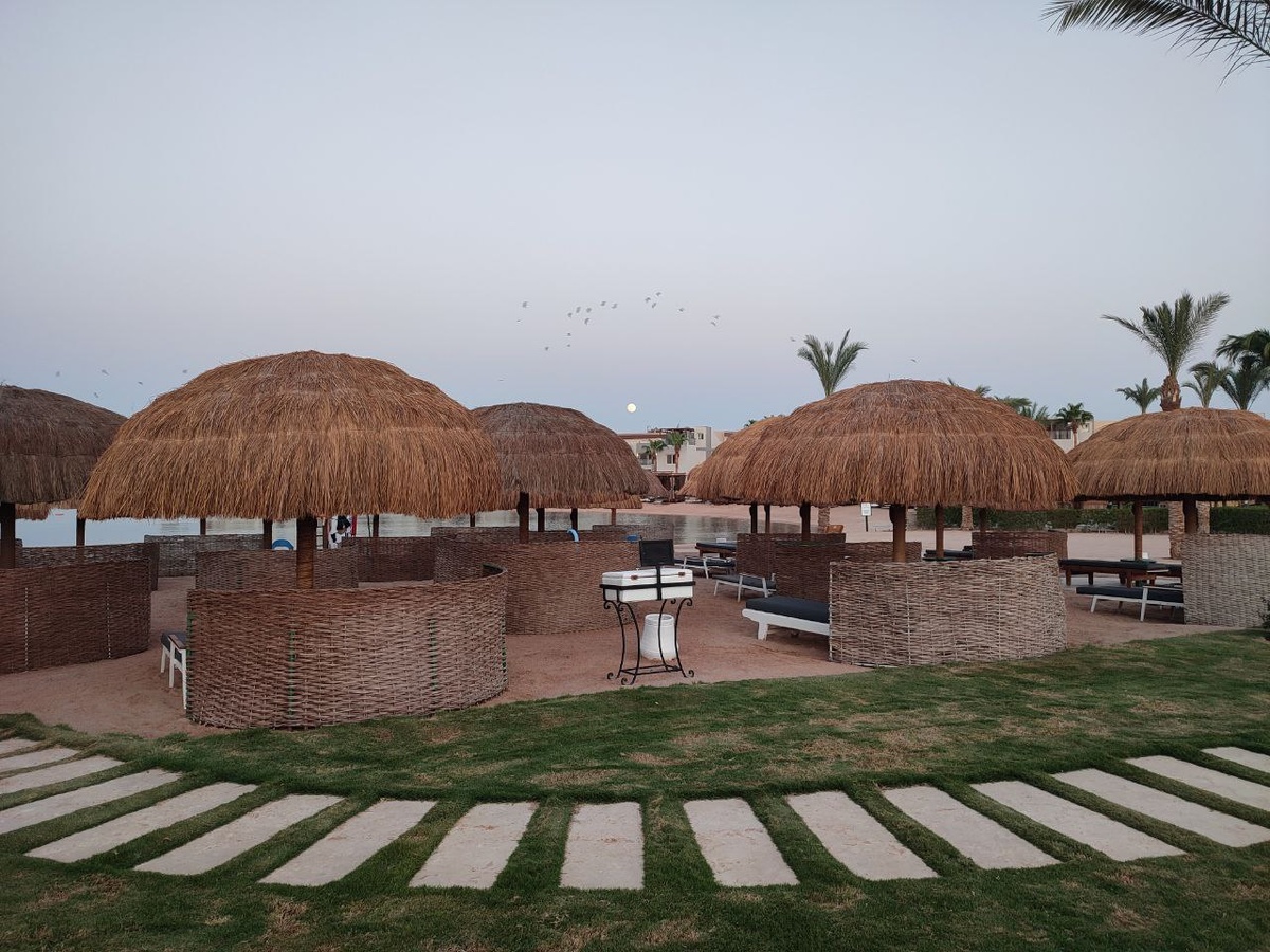    © Алёна Бронникова