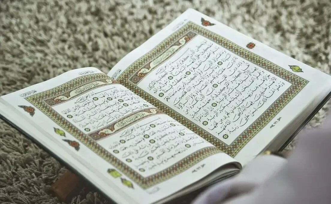    Цветокоррекция оригинального изображения была произведена с использованием ИИ "Ниязов 2.0"