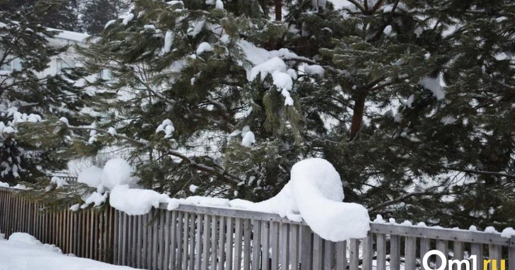 картинка из интернета