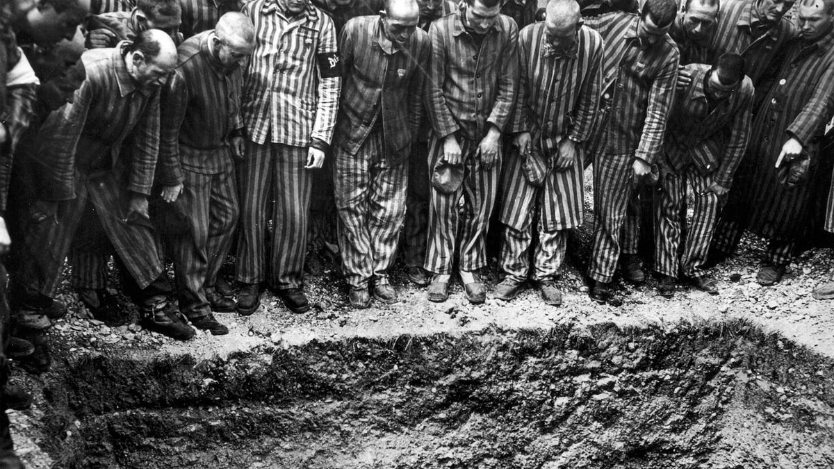 Фото из свободных источников.