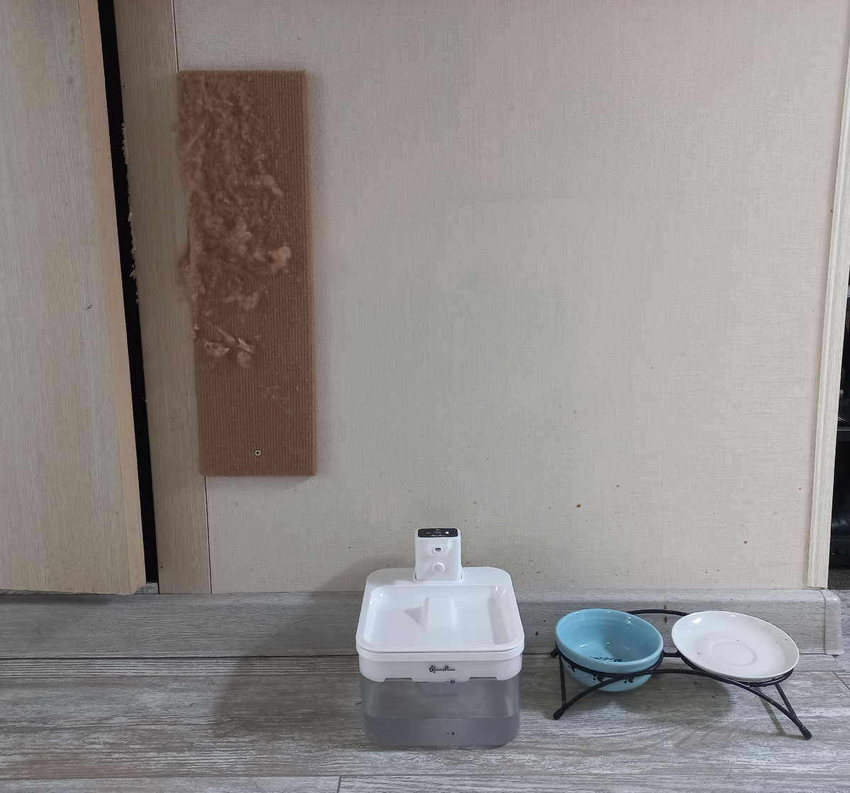 Поилка, миски и когтеточка