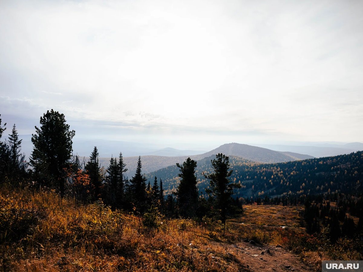     Усольцевы пропали в тайге в конце сентября 2025 года