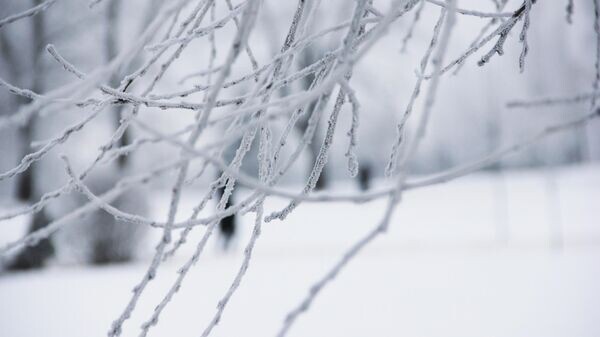    © Sputnik / Сергей Пушкин