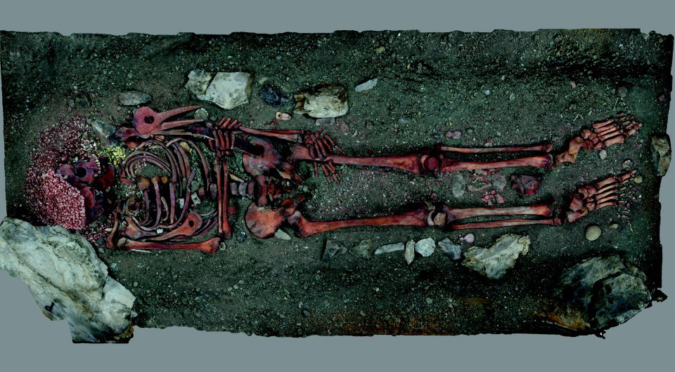   Vitale Stefano Sparacello et al. / Journal of Anthropological Sciences, 2025