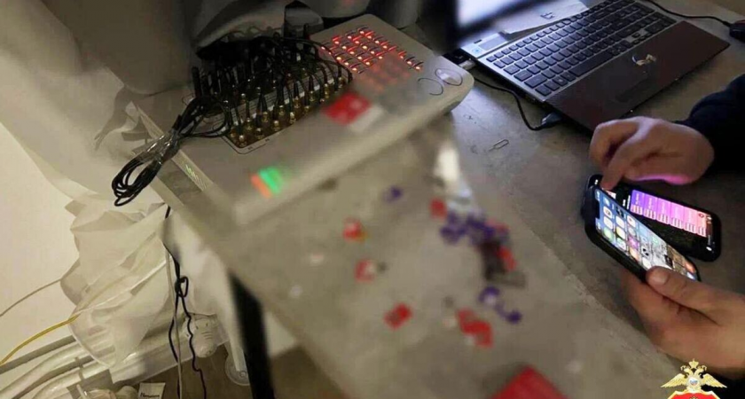    Узел связи украинских мошенников, ликвидированный в Мурино | © Фото : Петербургская полиция/Telegram