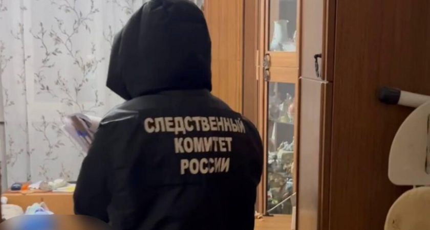    Фото: t.me/gsuskrf_spb