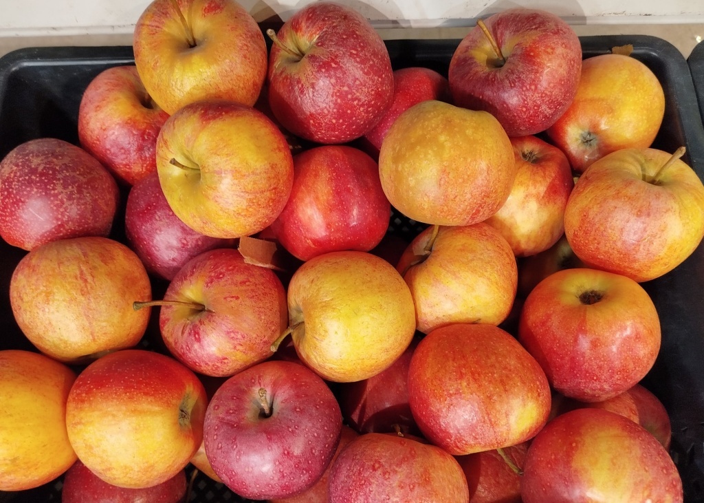  Яблоки Гала