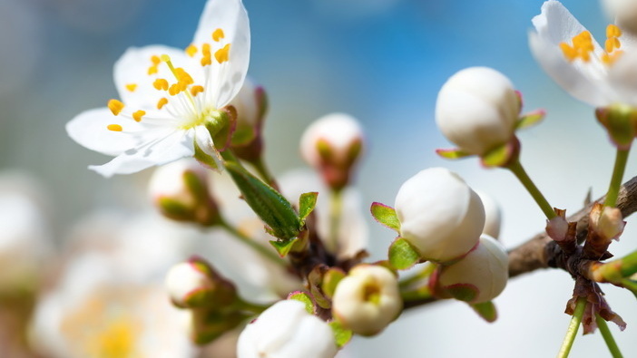 Результат правильной весенней подкормки