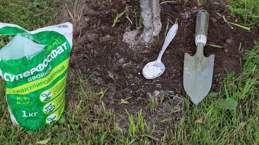 Состав второй подкормки - основа крепких завязей