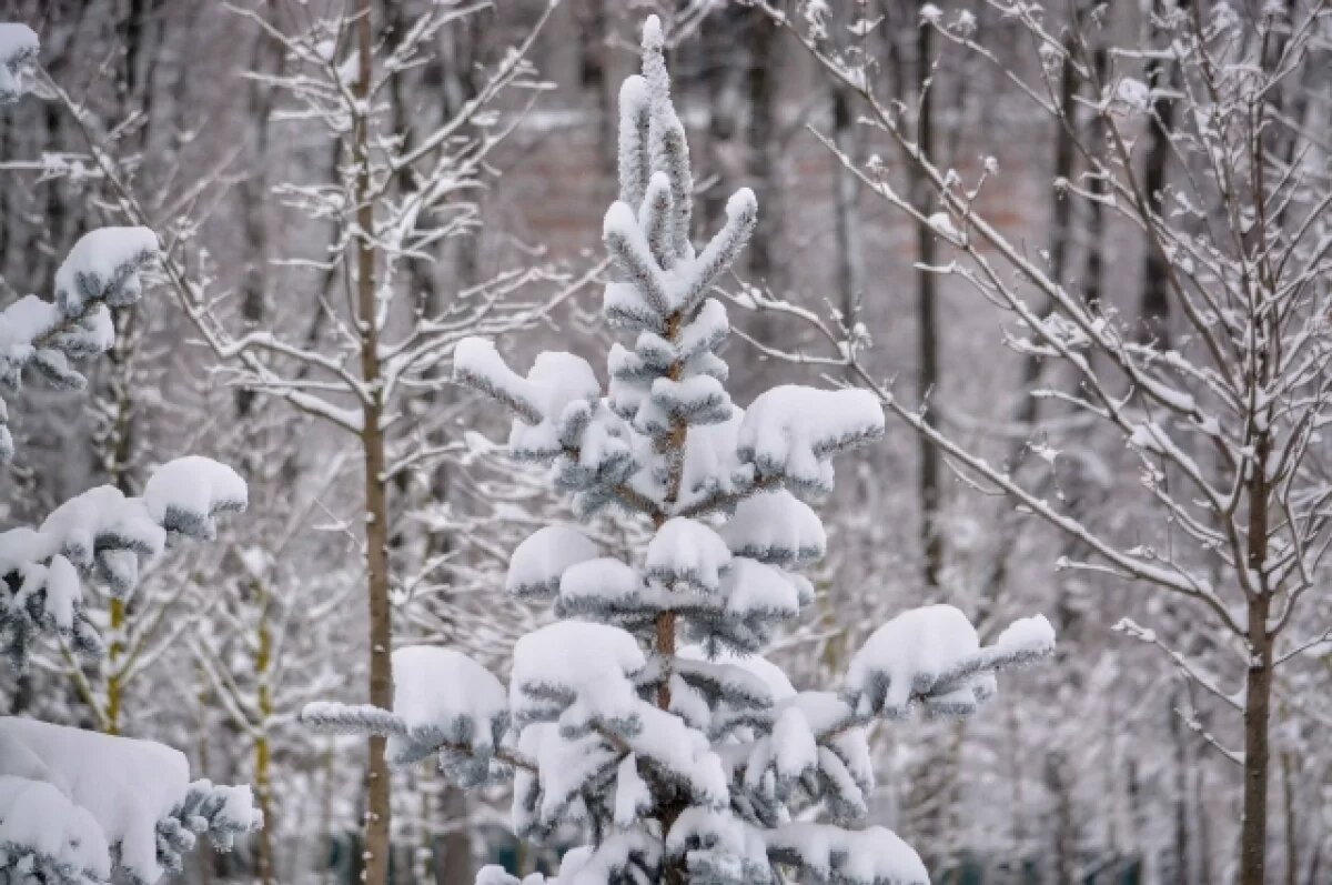    В Ижевске за 4 дня выпало 99% месячной нормы осадков