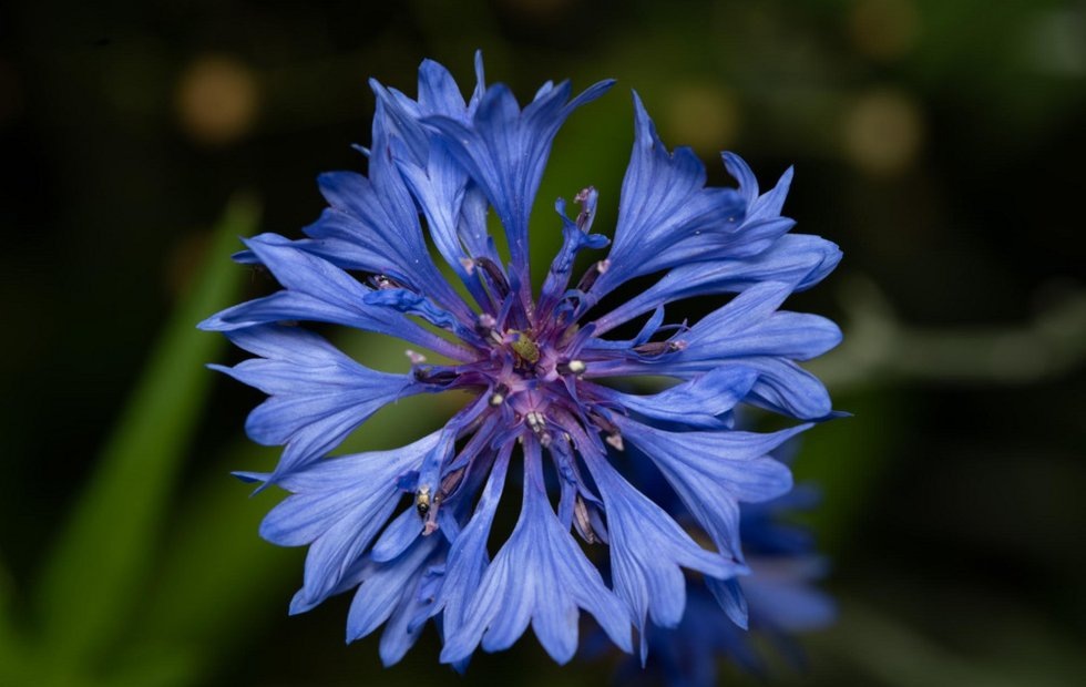 Фото с сайта: freepik.com