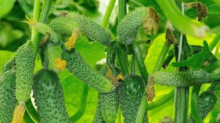 Обещания производителей против суровой реальности - разница очевидна