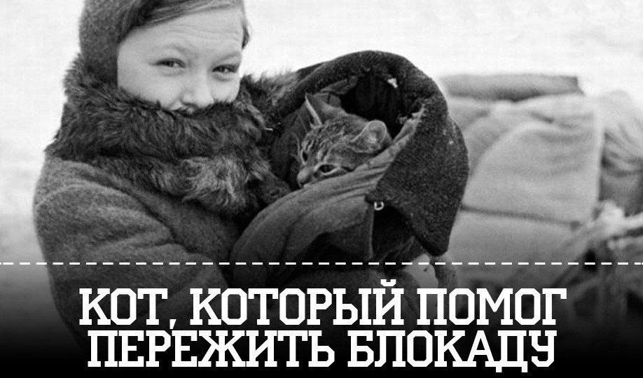 День памяти и благодарности: животные в блокадном Ленинграде