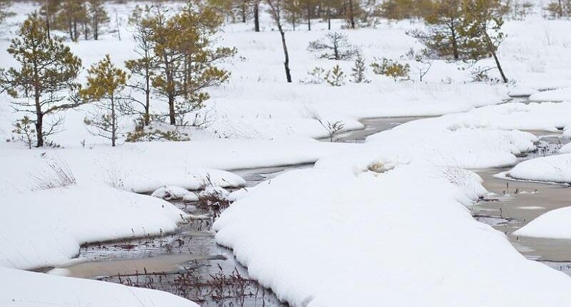    ПФ «Верховье»