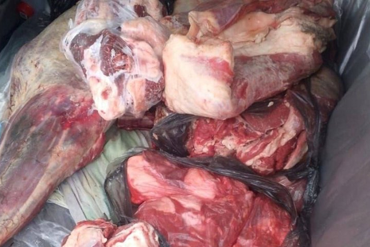    Фото: УМВД по Ульяновской области, источник: 73.мвд.рф