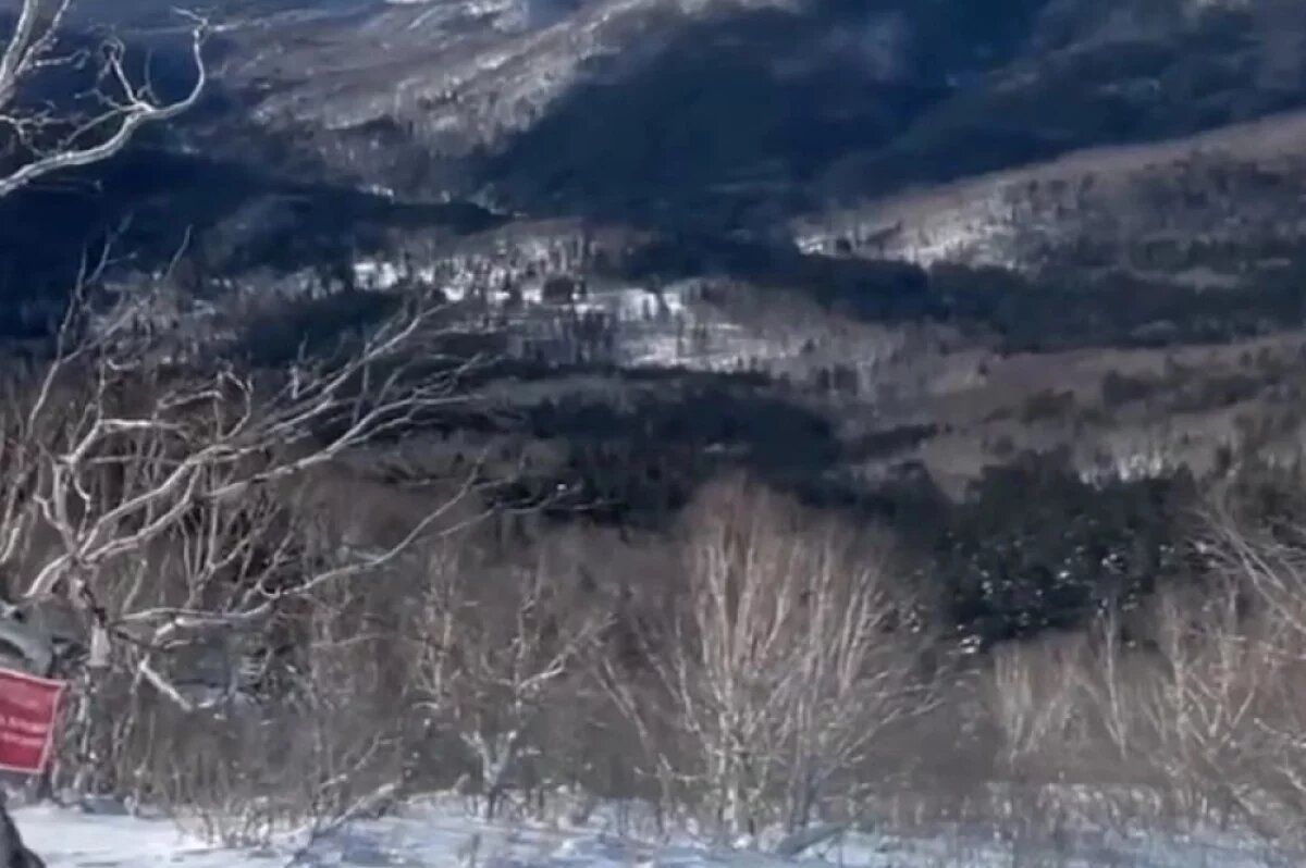    21-летняя туристка провела ночь лесах Сахалина без еды и связи