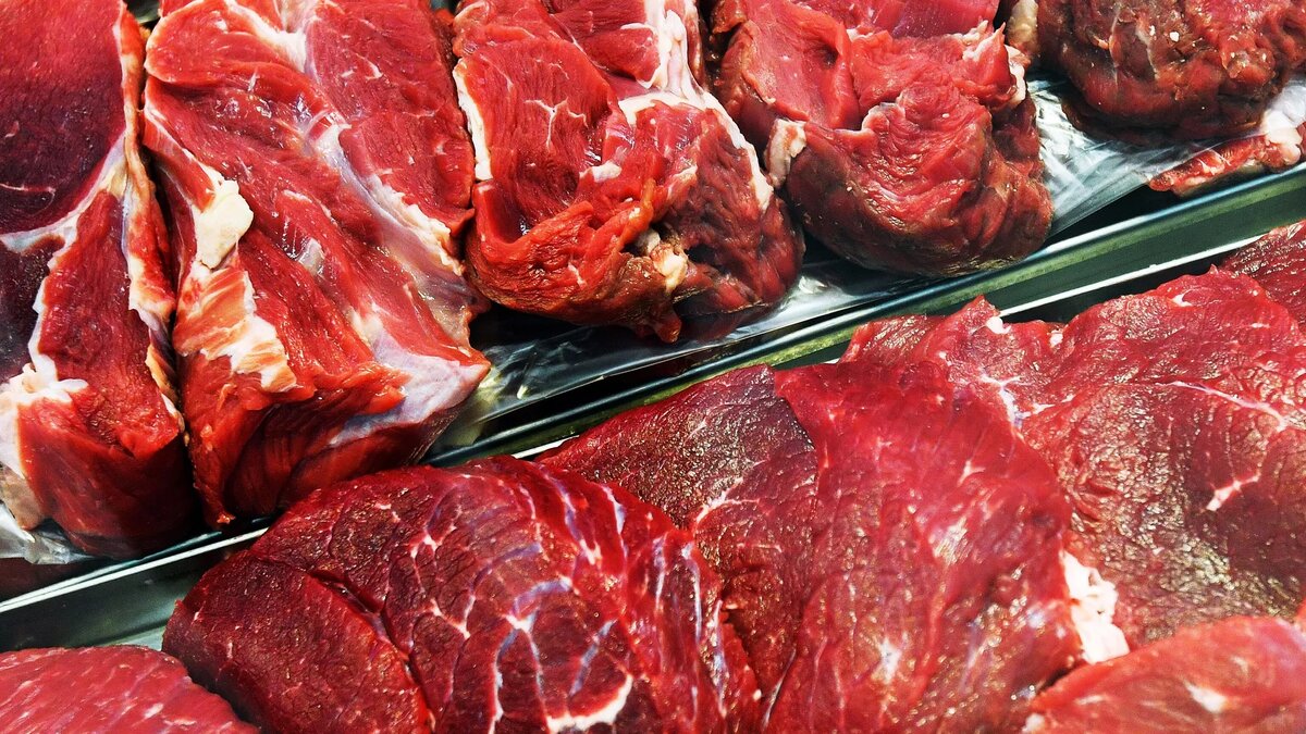 Фото: Владимир Песня / РИА Новости