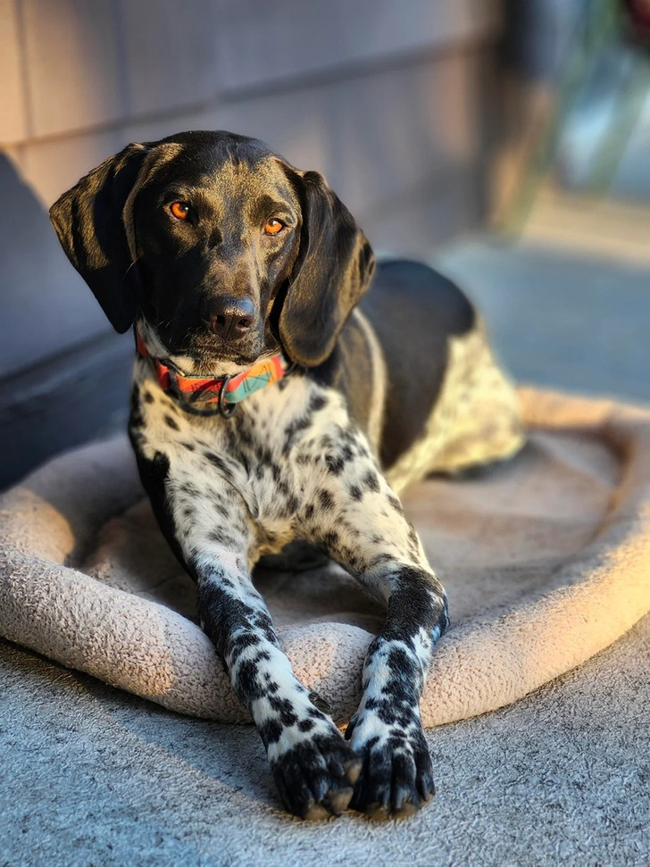 © slow-dissolve-741