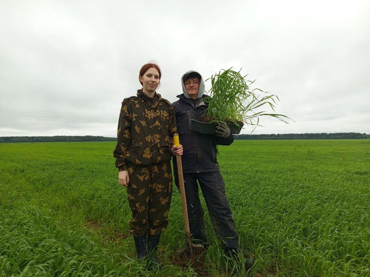 Отбор растительных и почвенных образцов на тестовых площадках. Источник: Вячеслав Якушев 