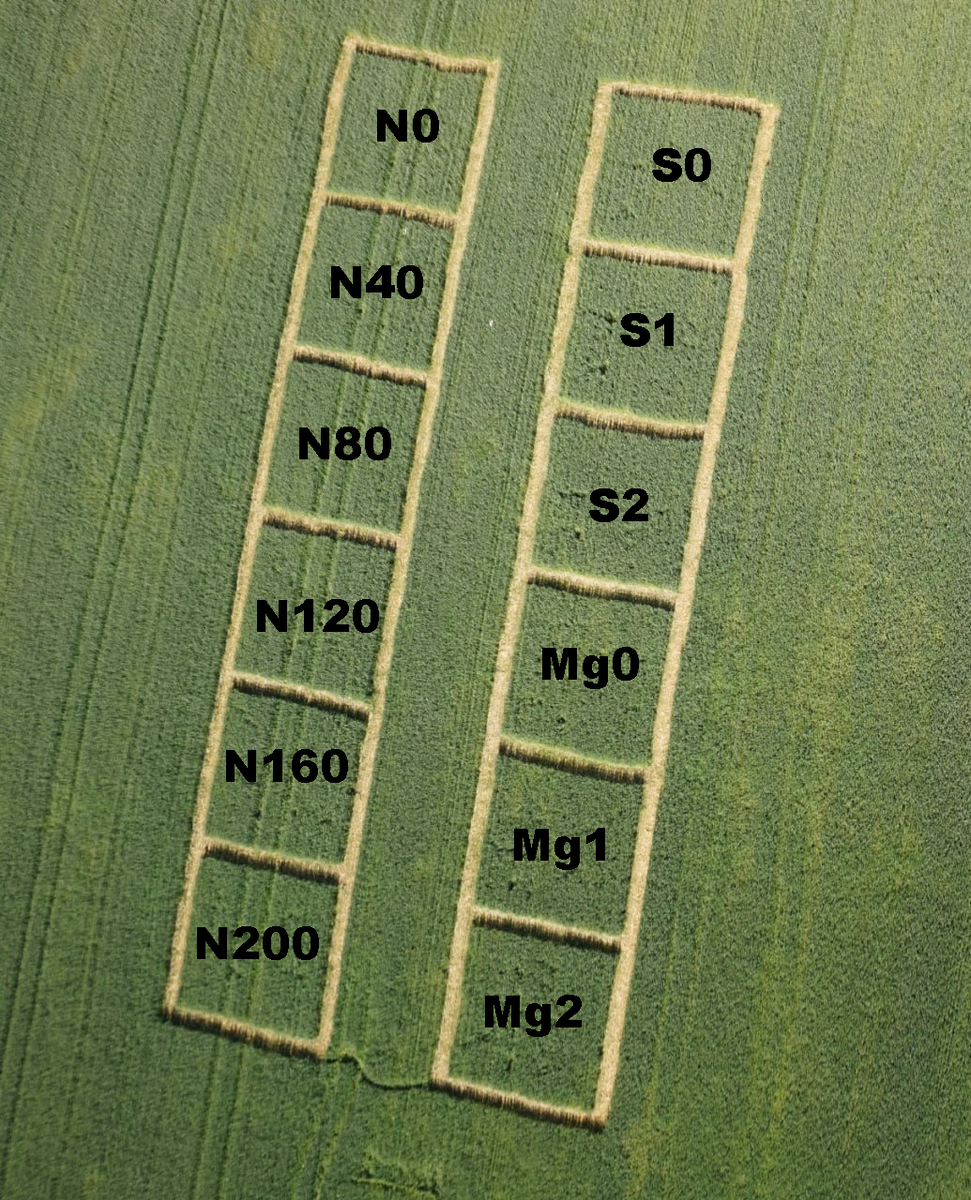 Тестовые площадки. Источник: Вячеслав Якушев