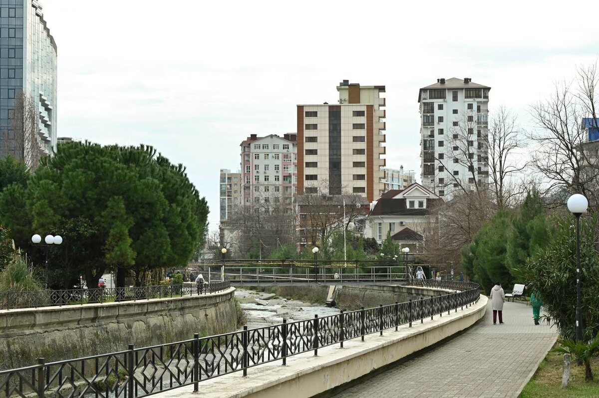 фото: Telegram/Мэр Сочи Андрей Прошунин  📷
