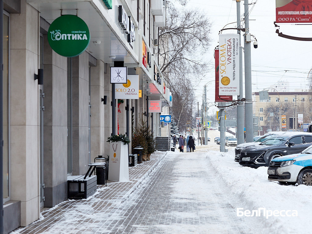     Фото: Елена Журавлёва (архив)