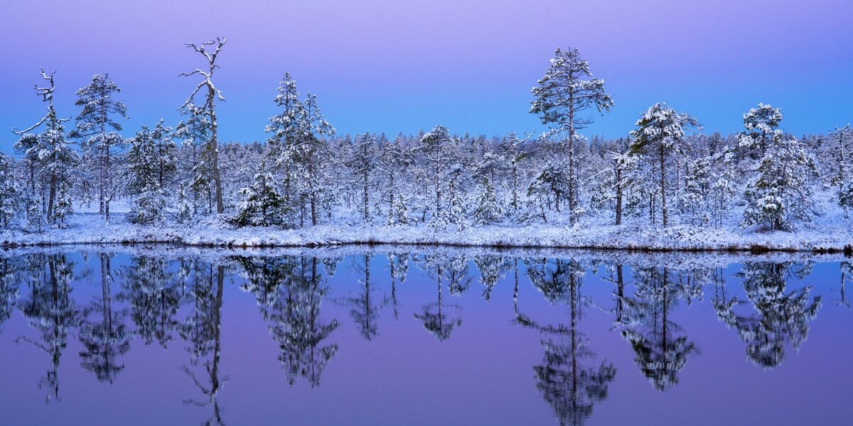 Харитонов Алексей. «Холодное спокойствие»