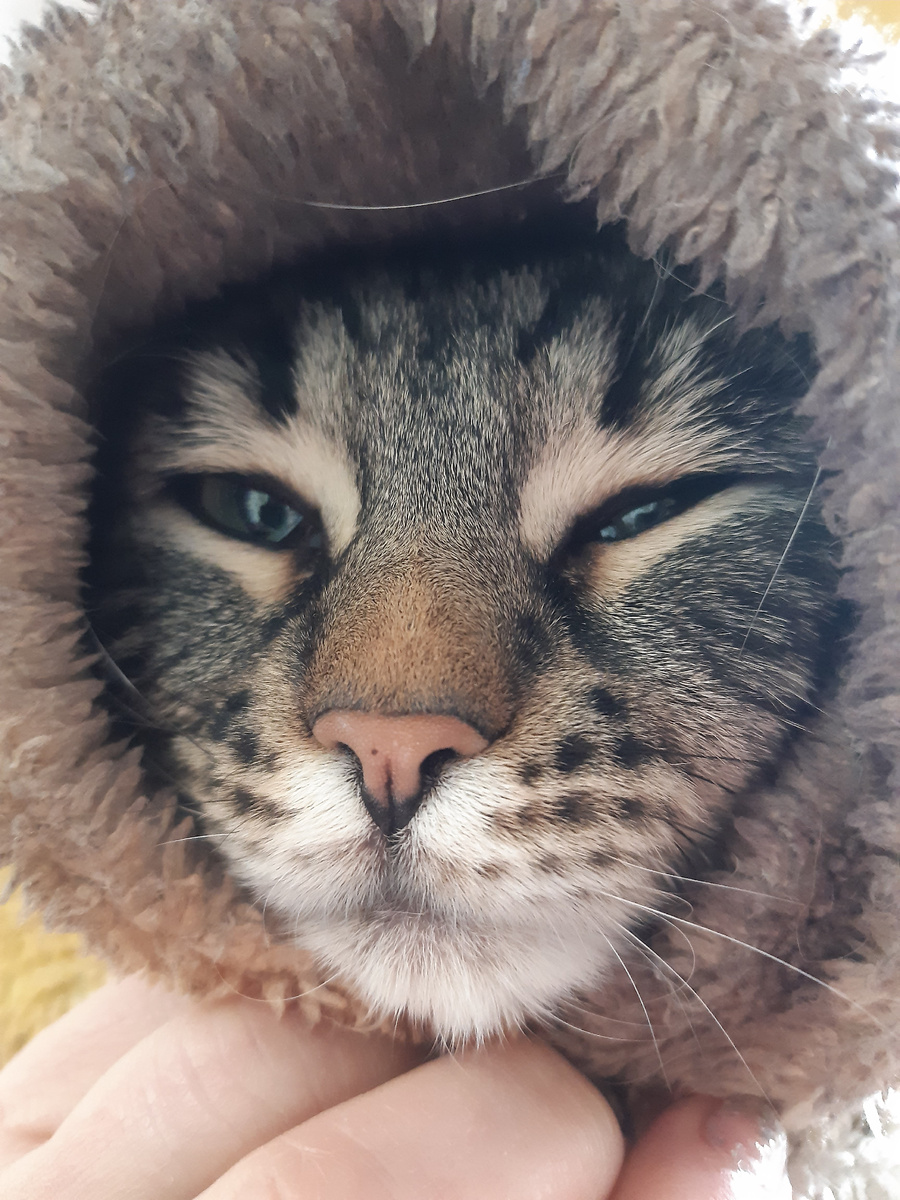 Утреннее чудо.