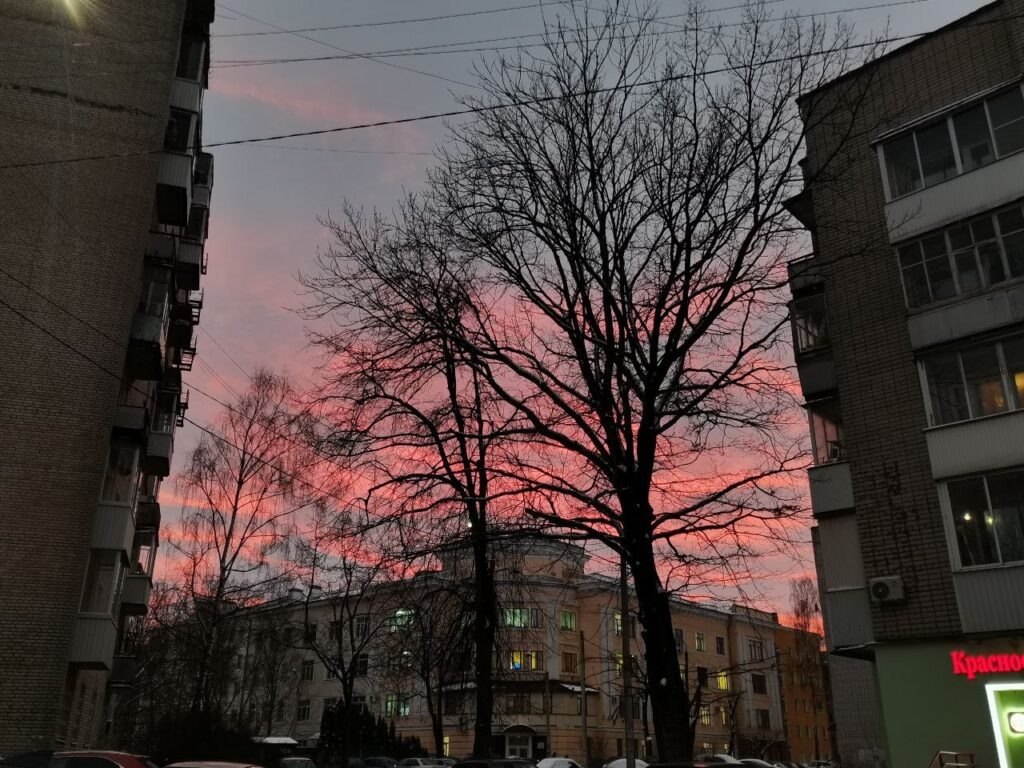    Фото: Главный региональный