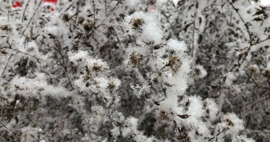 Погода в Стерлитамаке на вторник, 3 февраля 2026 года