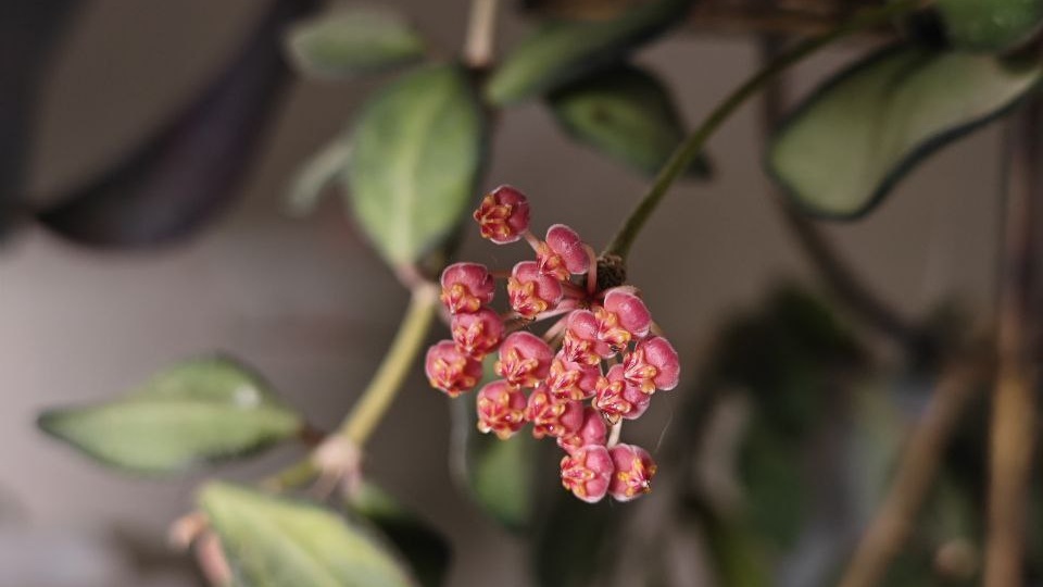 Погода не перестает удивлять