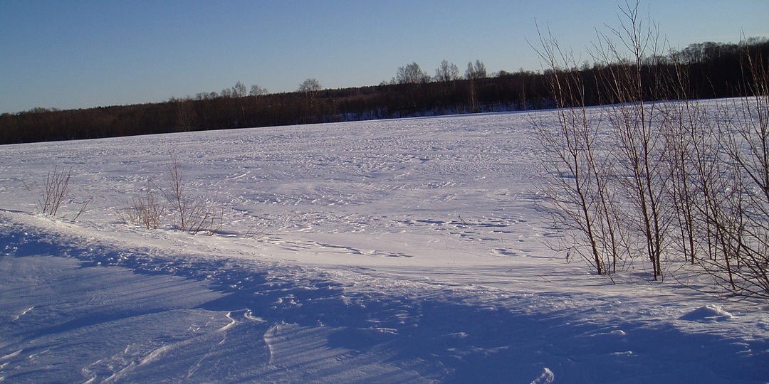 Эх народец нынче хилый…