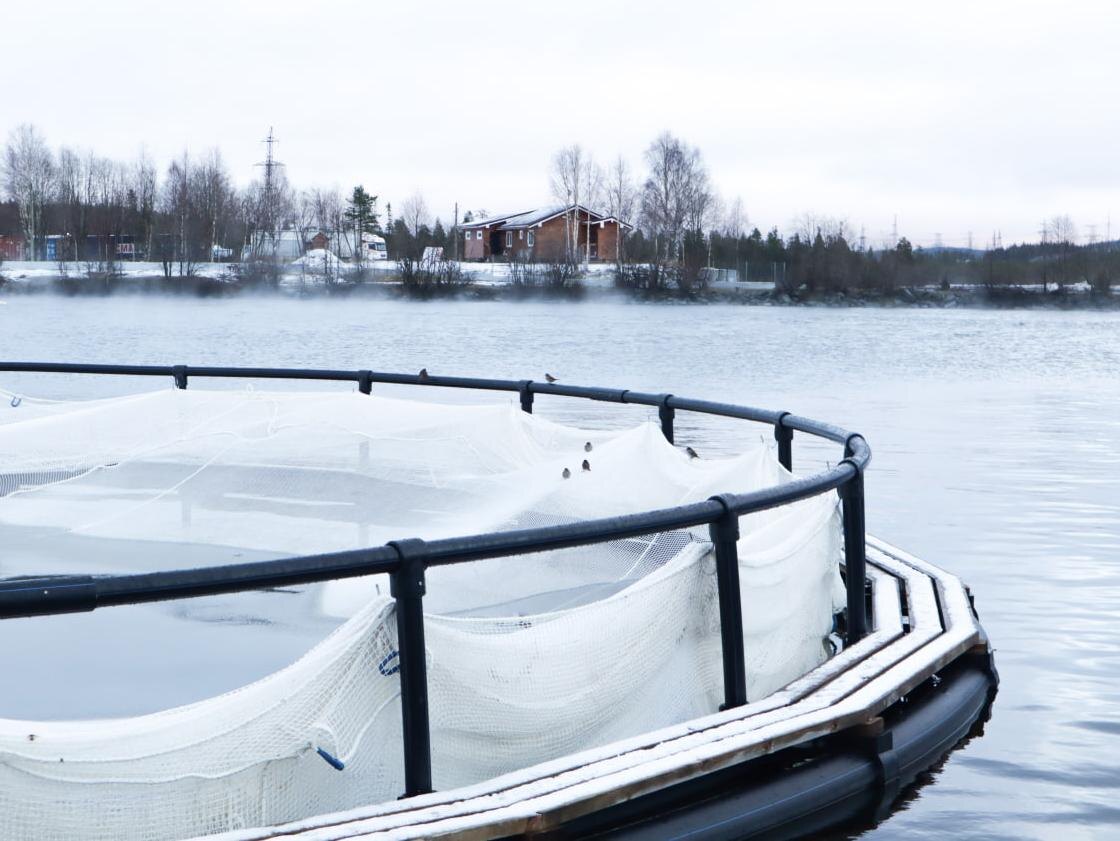 Фото: пресс-центр Корпорации развития Дальнего Востока и Арктики
