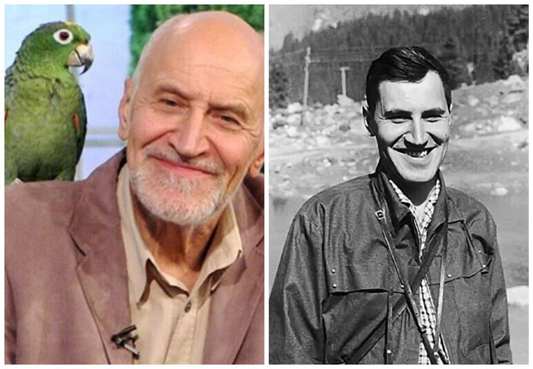 Яндекс-картинки