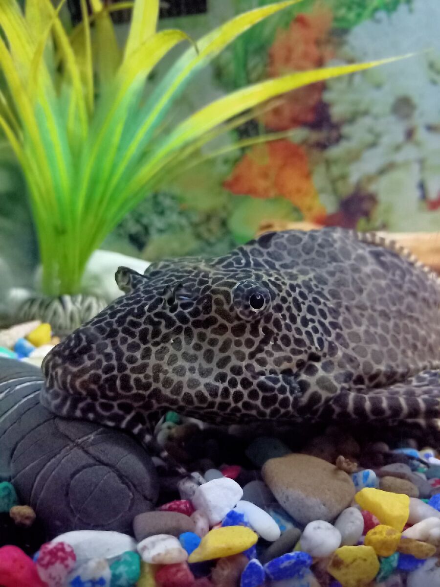 Все фото - автора